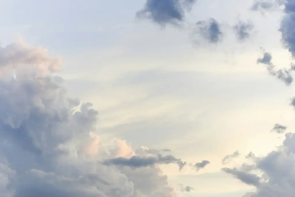 539現場開獎實況：體驗台灣彩券的刺激感