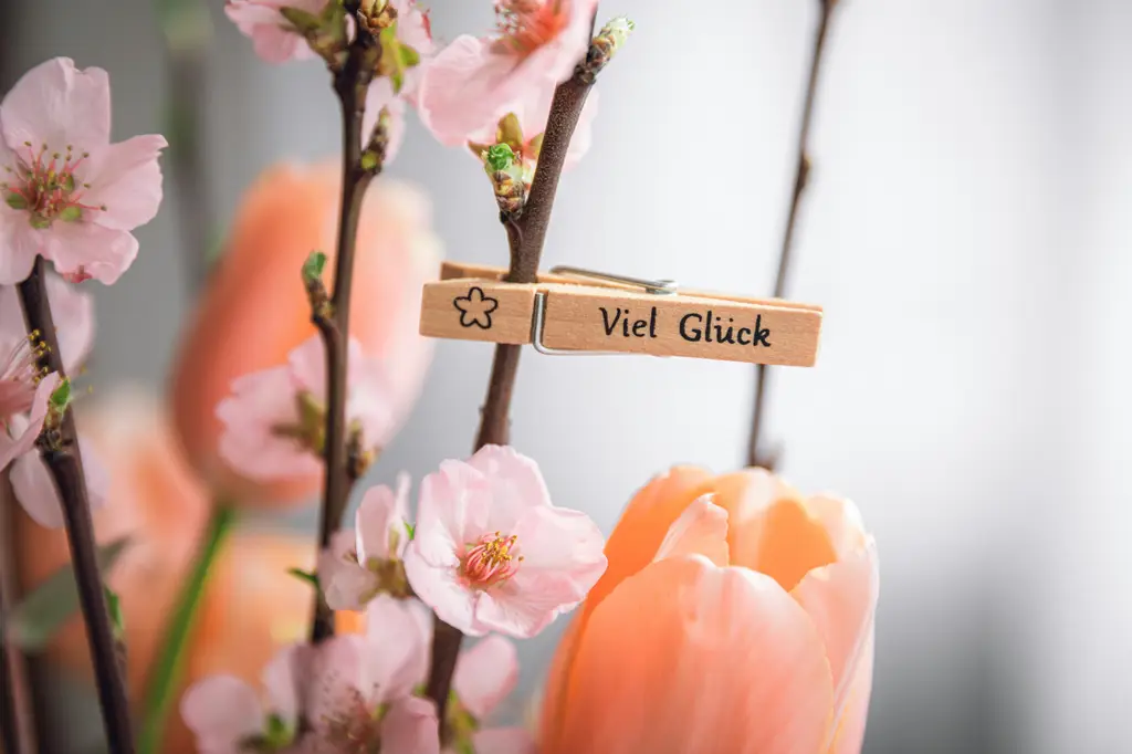 539刮刮樂：讓你的好運搖滾一下！